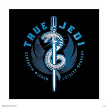 Star Wars: Episode IX - True Jedi