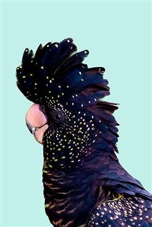 Black Cockatoo On Mint