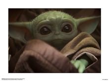 The Mandalorian TV - The Child - Reg Poster