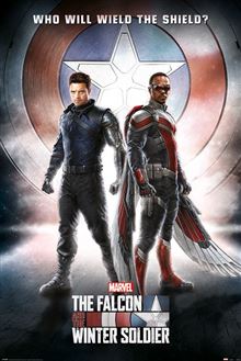 Marvel TV: Falcon And Winter Soldier - Shield