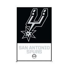 NBA San Antonio Spurs - Logo 21 - Reg Poster