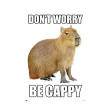 Capybara - Dont Worry Be Cappy - Reg Poster
