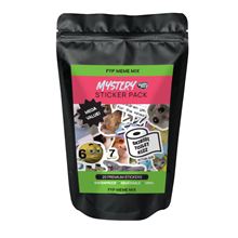 Stickers - FYP Meme - Mystery Vinyl Sticker Pack