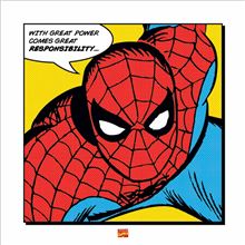 Marvel  Comics - Spider-Man Comics Great Power